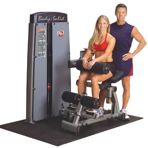 Body Solid Pro Dual Ab and Back Machine DABB-SF