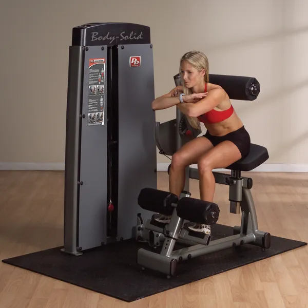 Body-Solid Pro Dual Ab and Back Machine (w/ Weight Stack)