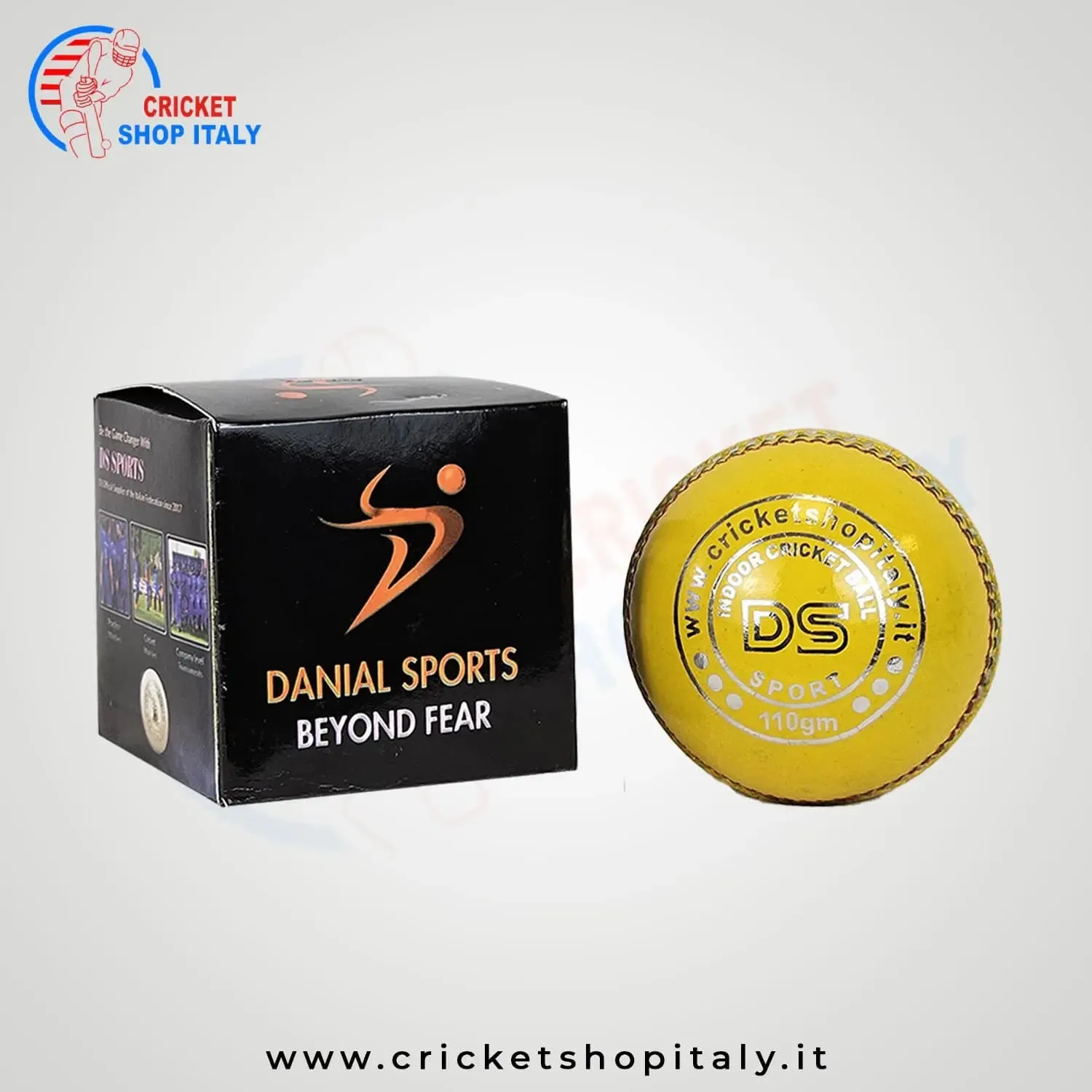 DS Indoor Cricket Ball (Pack of 6)