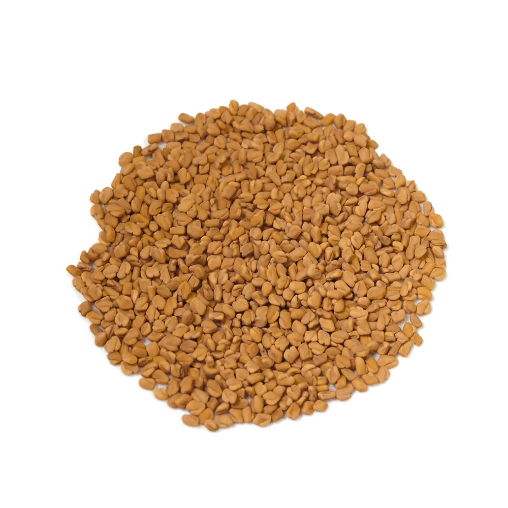 Fenugreek
