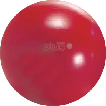 Gymnic Plus Exercise Balls
