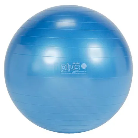 Gymnic Plus Exercise Balls