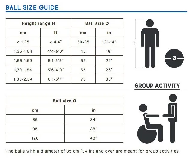 Gymnic Plus Exercise Balls