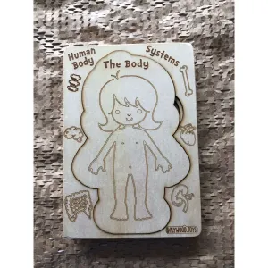 Human Body Systems-Female