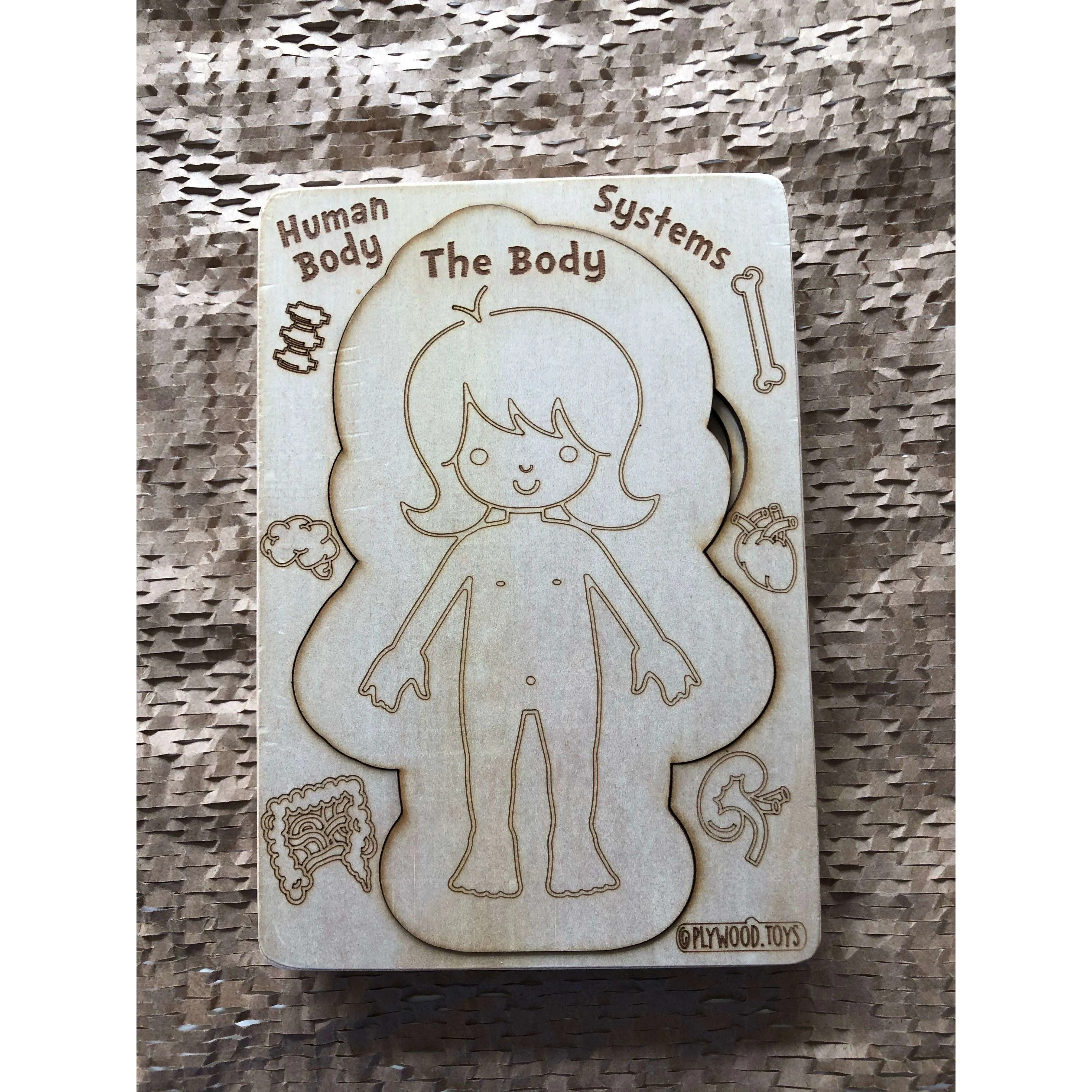 Human Body Systems-Female