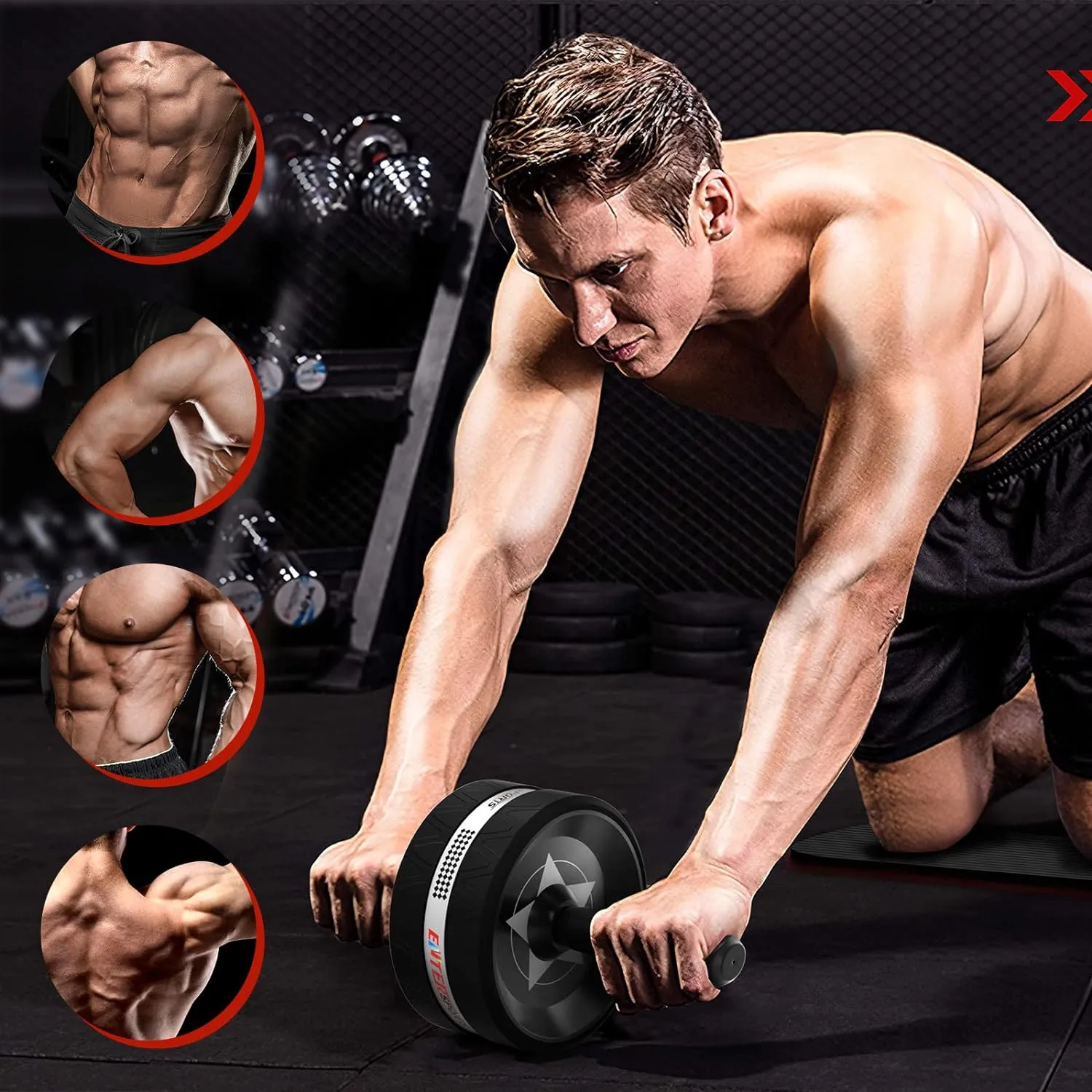 Roue Abdominale 6 en 1 avec Bande de Fitness - Maison | Fitnessterapy