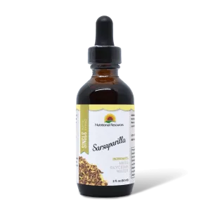 Sarsaparilla