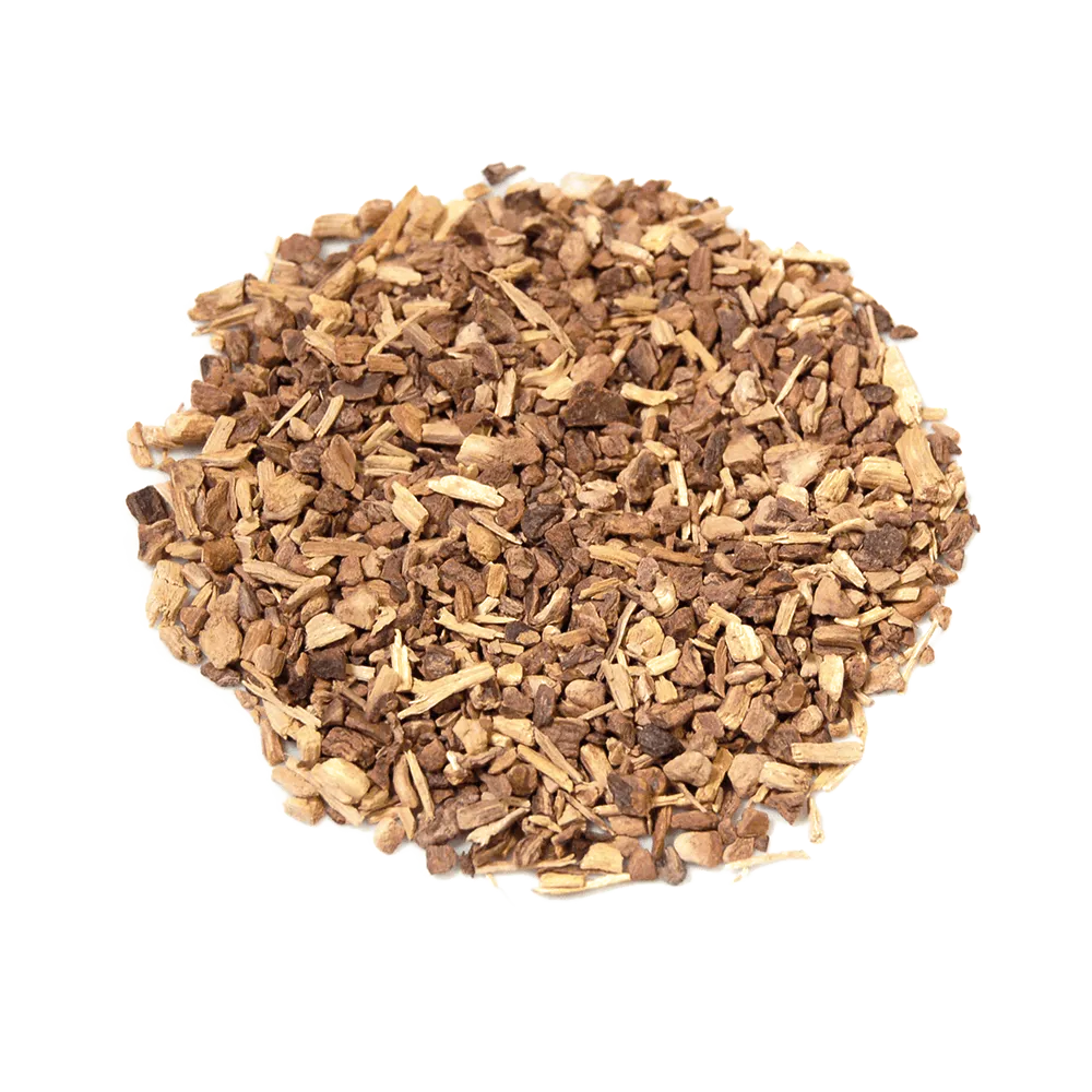 Sarsaparilla